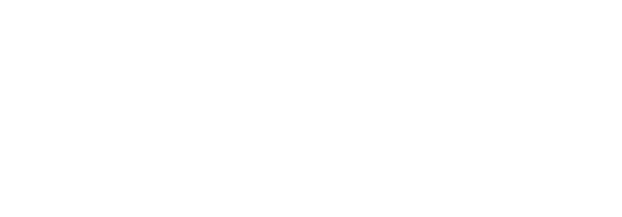ays security services white transparent