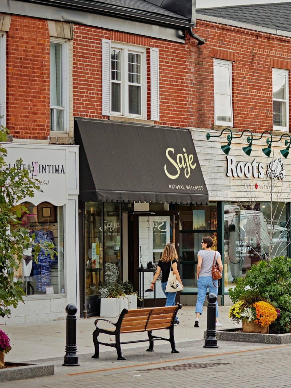Street-level view of commercial storefronts in downtown Oakville, Ontario, representing local businesses protected by AYS Security with commercial CCTV, access control and security systems